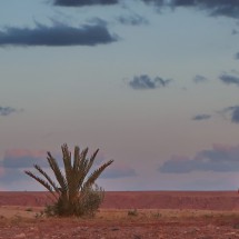 Marion with a full moon